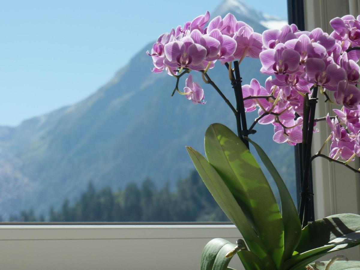 Apartment With Terrace In Kaprun Salzburg Экстерьер фото